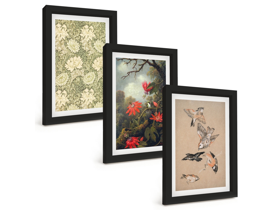 Composição De Quadros Flores, Pássaros, Natureza, Natureza Espelharte (3 Peças 20x30 Cm)
