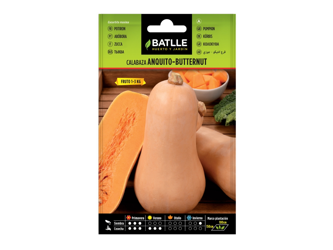 Sementes de abóbora Anquito butternut BATLLE