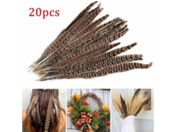 2026 20 Plumas de Cauda de Faisão Natural 25 30cm para Manufaturas, Disfarces, Casamentos e Festivais