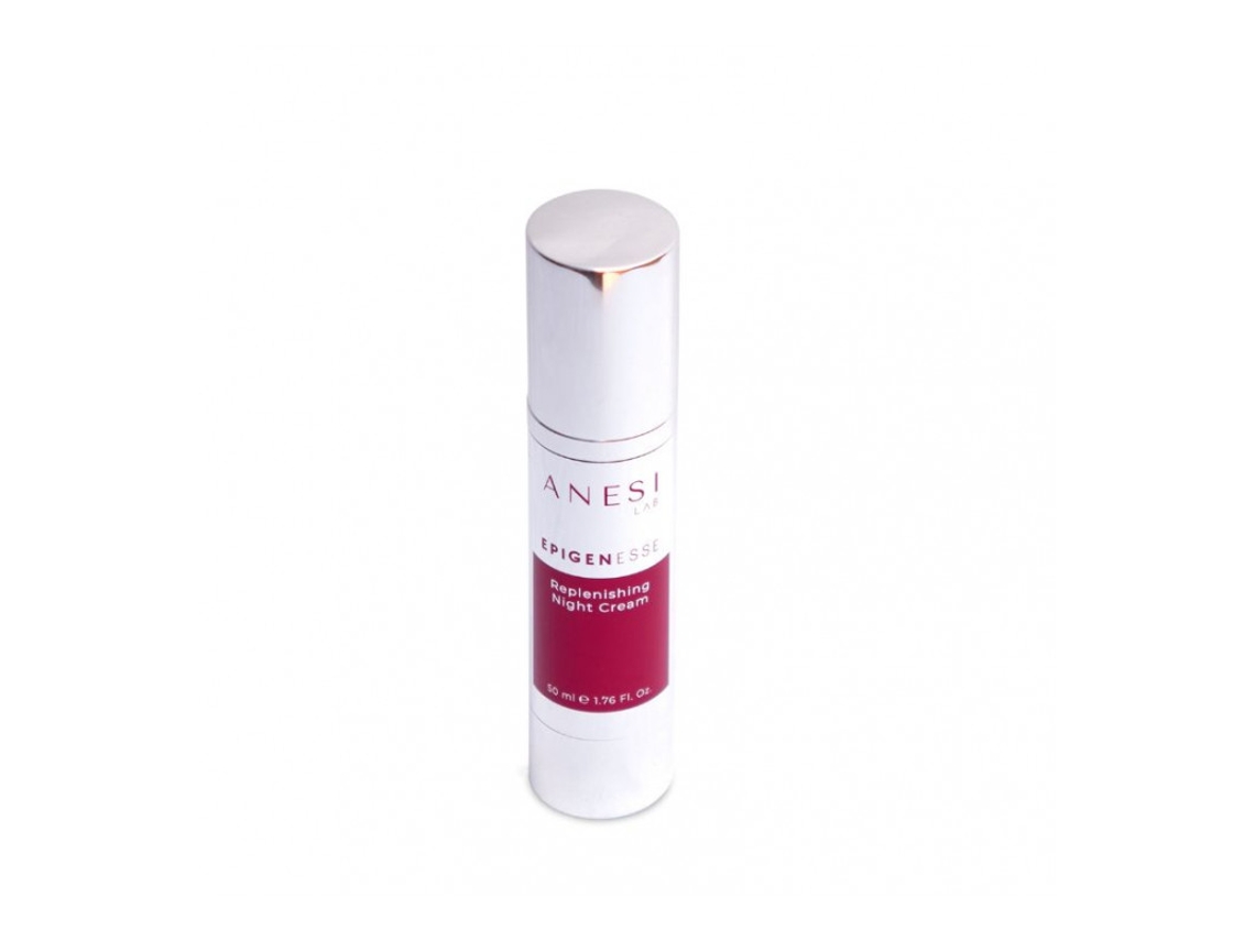 Epigênese Creme noturno reabastecedor ANESI