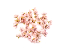 Flores de Seda Miniature 2cm, 50 Unidades, Rosas e Margaridas Multicoloridas LAXISCREED