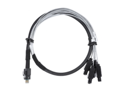 Cabo Mini Sas38p 4sata LAXISCREED
