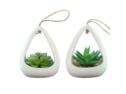 2 Peças de Suculentas de Simulação Ornamentos Criativos de Moda para Pendurar na Parede Flores Artificiais e Plantas Verdes RNEMITERY