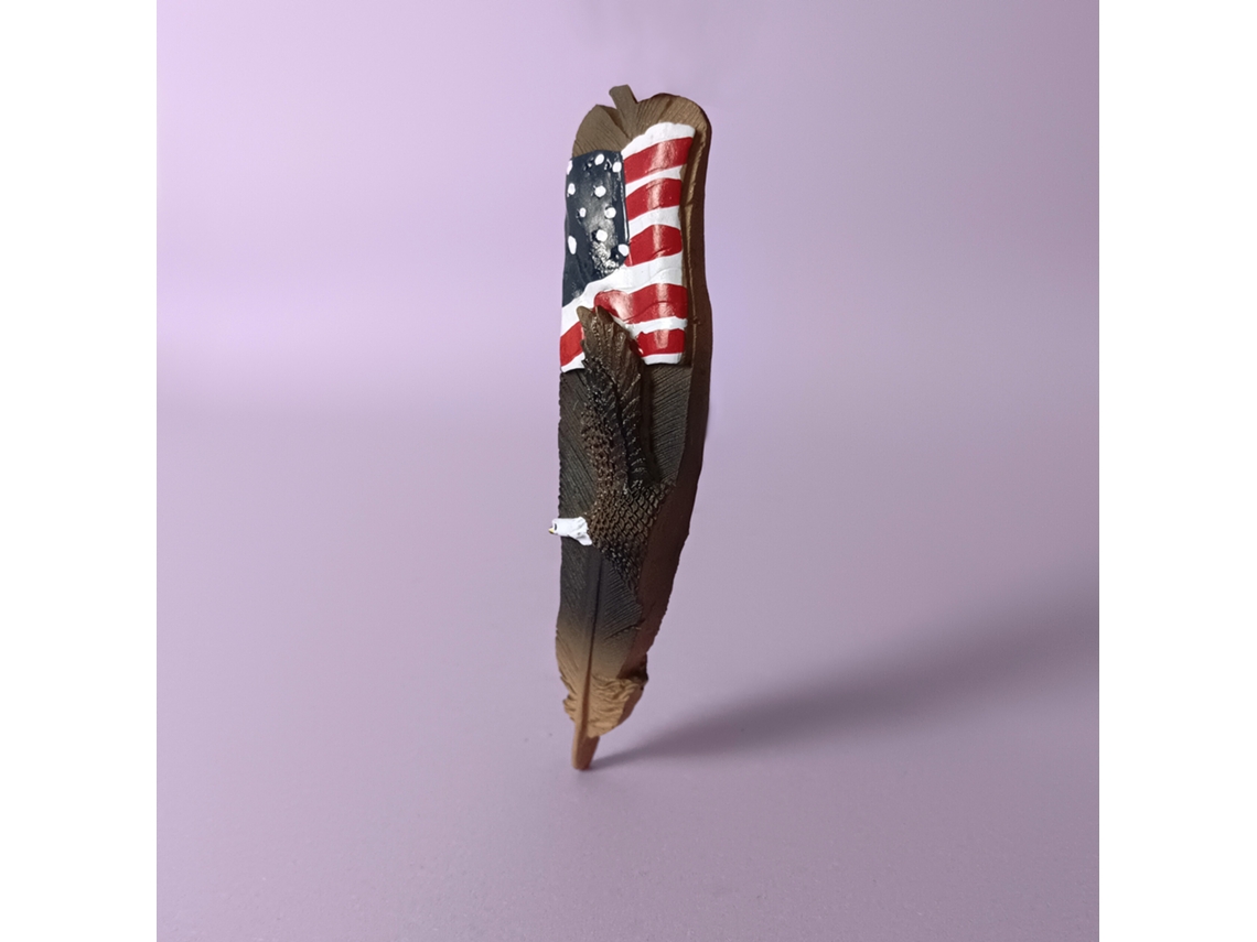 Ímãs De Geladeira Com Águia E A Bandeira Americana, Lembrancinhas Das Américas, África E Austrália.