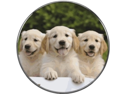Filhotes De Golden Retriever Ímãs Geladeira Personalizados Em Liga Metálica, Ímãs Requintados Para Quadro Branco