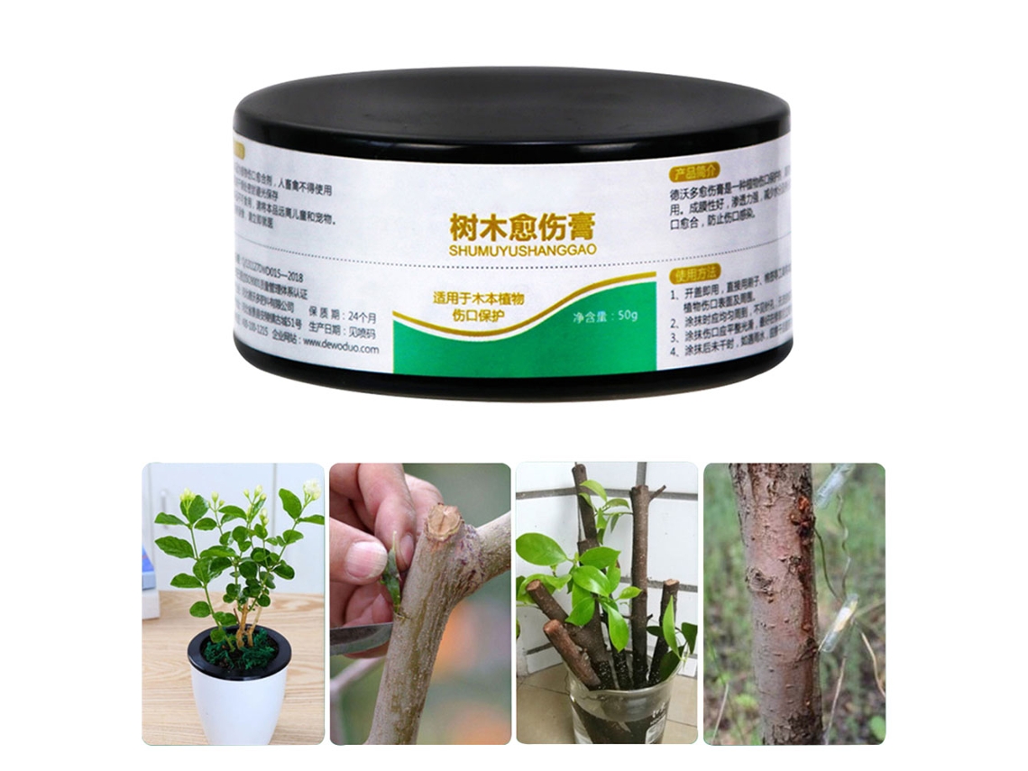 Selante De Cura Vegetal 50g Para Bonsai E Árvores