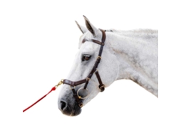 Refrear Inglesa Micklem 2 Multibridle Castanho Extra Fullhorseware