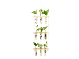 Laxiscreed Vaso De Parede Em Vidro Para Hidroponia Com Design Em Madeira Natural