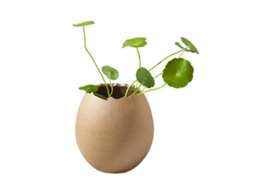 Espelho Vertical Grande 11,8cm por 10,8cm LAXISCREED