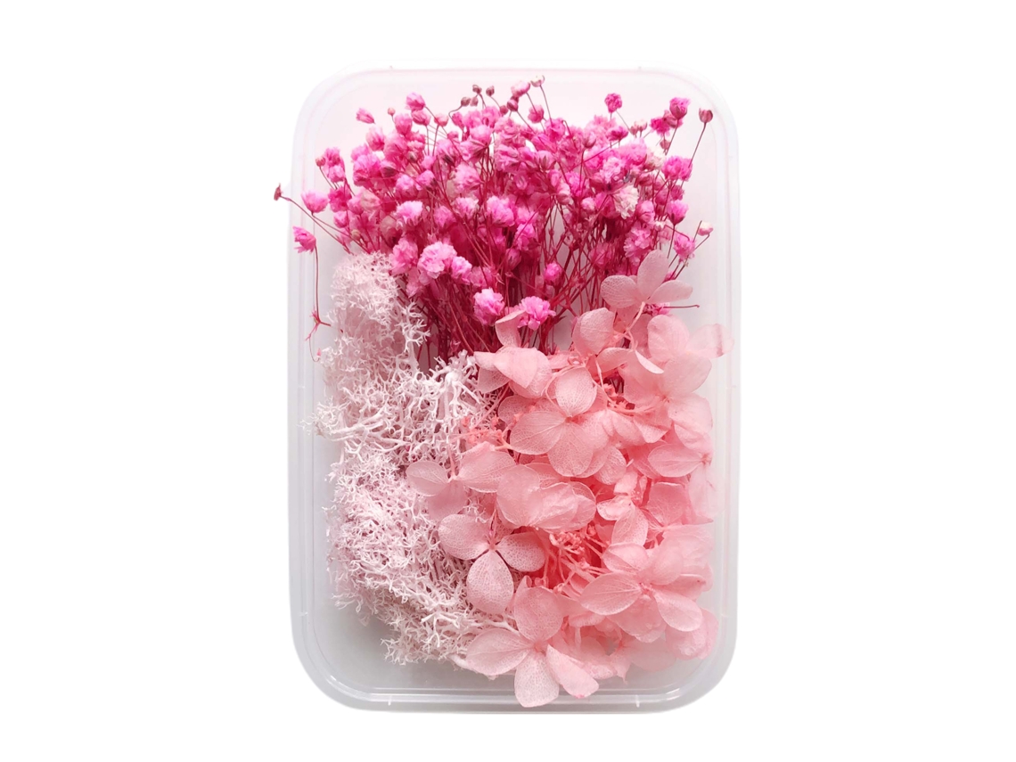 Flor Seca Preservada Aromaterapia Material Diy