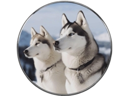 Ímã De Geladeira Com Estampa Cães Husky E Ímãs Liga Metálica Para Quadros Brancos, Armários, Cozinha, Escritório