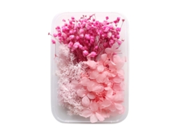 Flor Seca Preservada Aromaterapia Material Diy