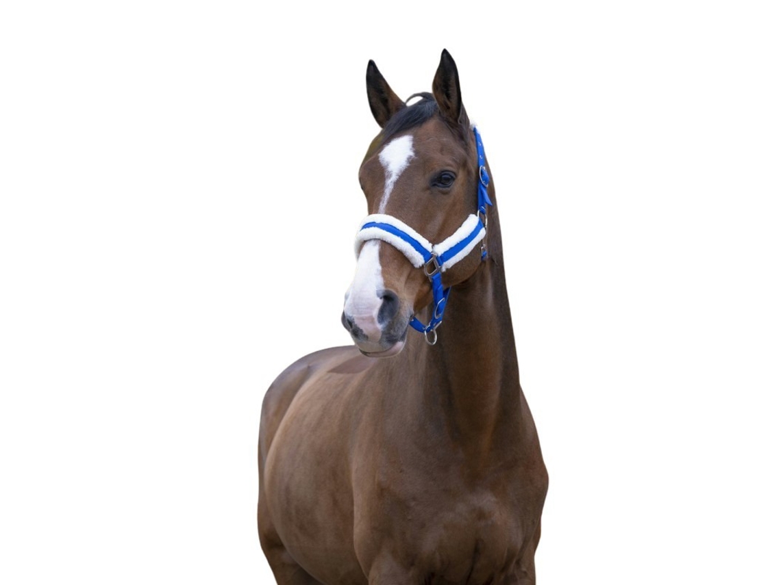 Cabresto para cavalos Norton Confort