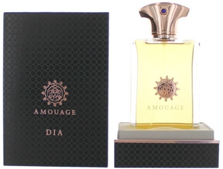 Perfume AMOUAGE Day Men Eau de Parfum (100 ml)