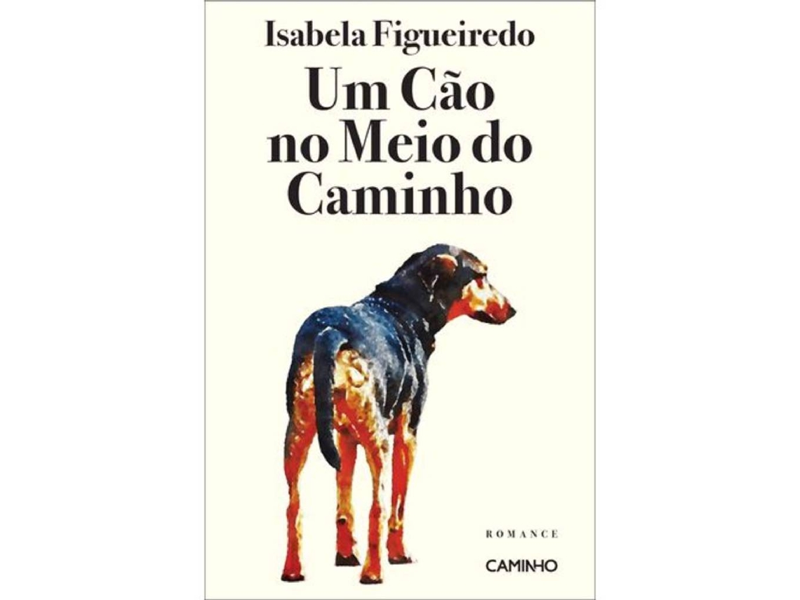 Livro Um Cão no Meio do Caminho de Isabela Figueiredo (Português do Brasil)