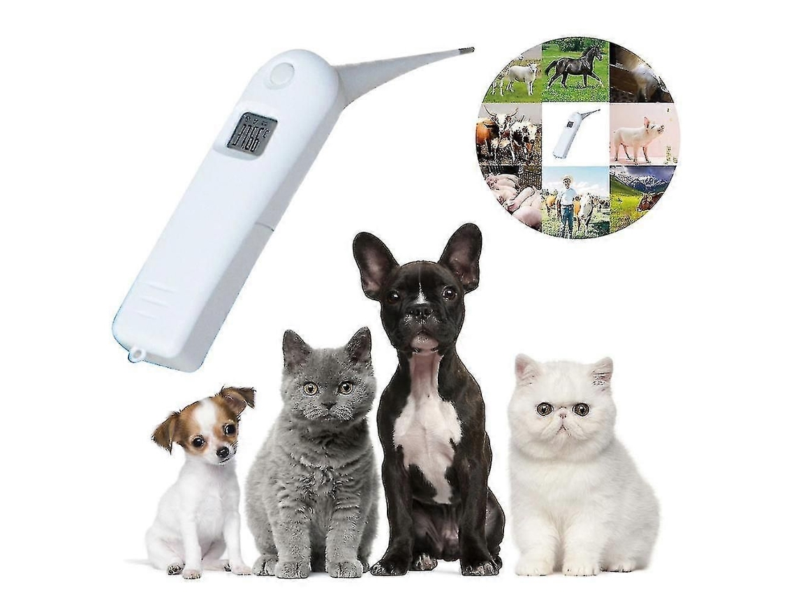 Termômetro Eletrônico Para Animais De Estimação, Termômetro Para Cães, Termômetro Veterinário Digital Rápido Para Animais De Estimação.