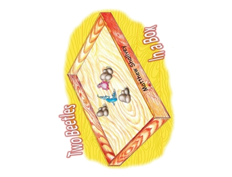 Livro Two Beetles In A Box - Hardcover De Matthew Shallvey (inglês)