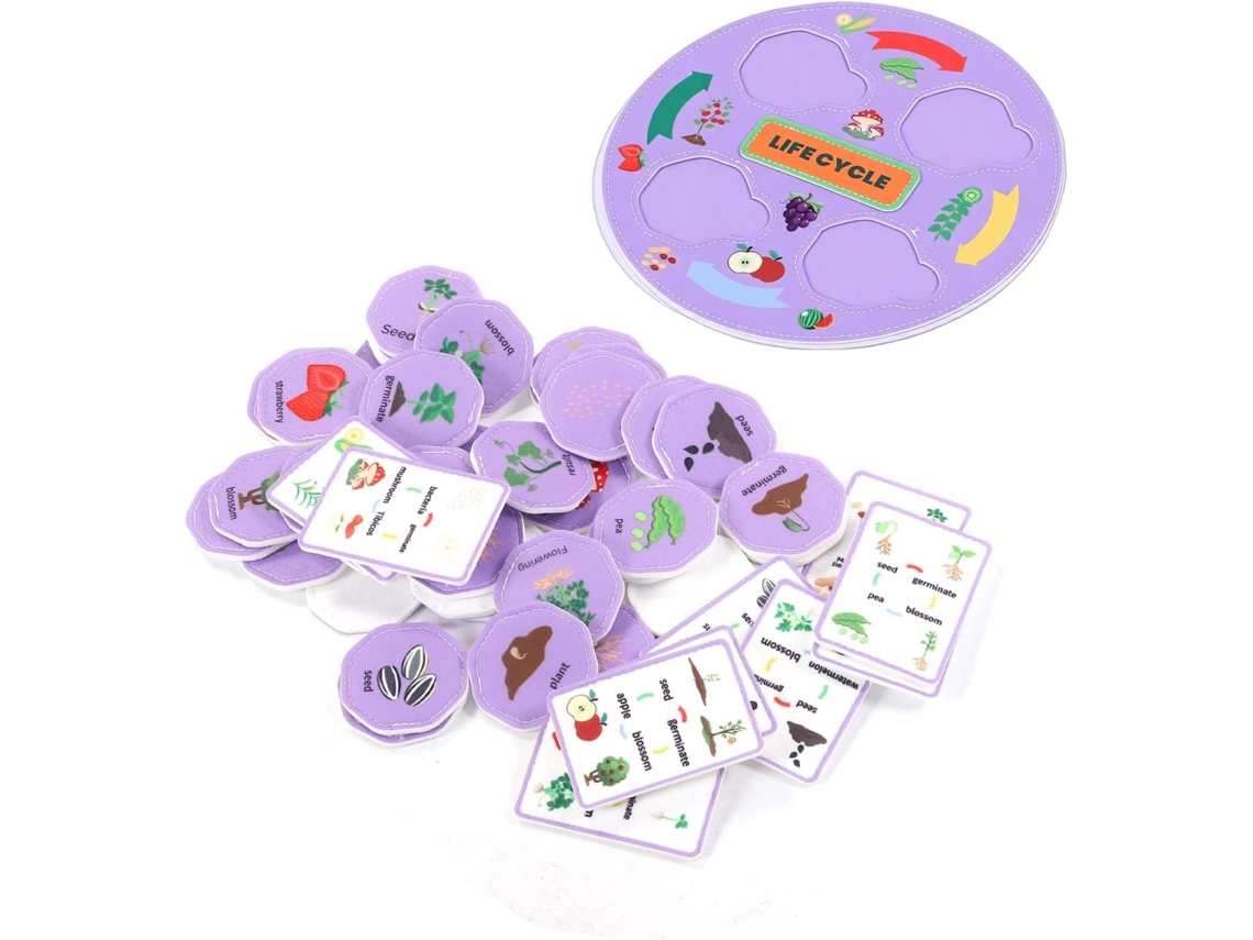 Kit Educacional SFUSHOS de Ciências sobre o Ciclo de Vida para Aprender Sobre o Crescimento das Plantas