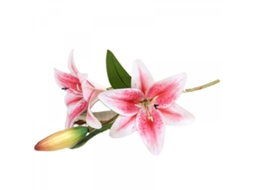 Flor Artificial Decorativa para Casa, Cartão de Presente, Galho, Lírio Artificial AQUAFORGE