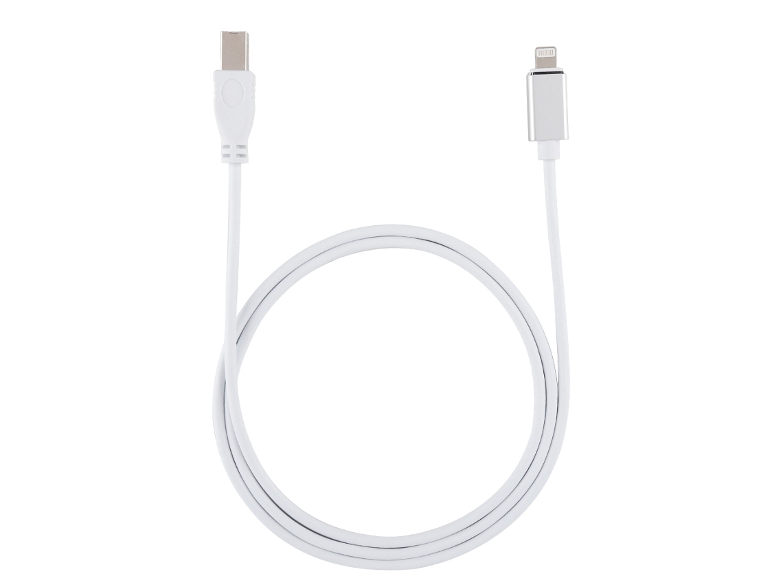Cabo de Dados LAXISCREED Apple B Macho 1128