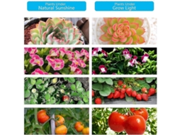 Lâmpada/iluminação Para Plantas Com 4 Tubos Led Flexíveis. Aquaforge