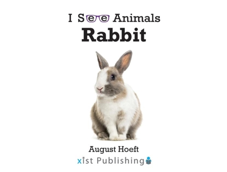 Livro Rabbit De August Hoeft (inglês)