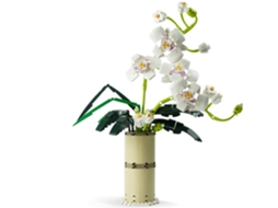 Kit de Construção de Buquê de Flores Conjuntos de Coleção Botânica de Orquídeas para Adultos de Blocos de Construção Incluindo Vaso JEDBESETZT