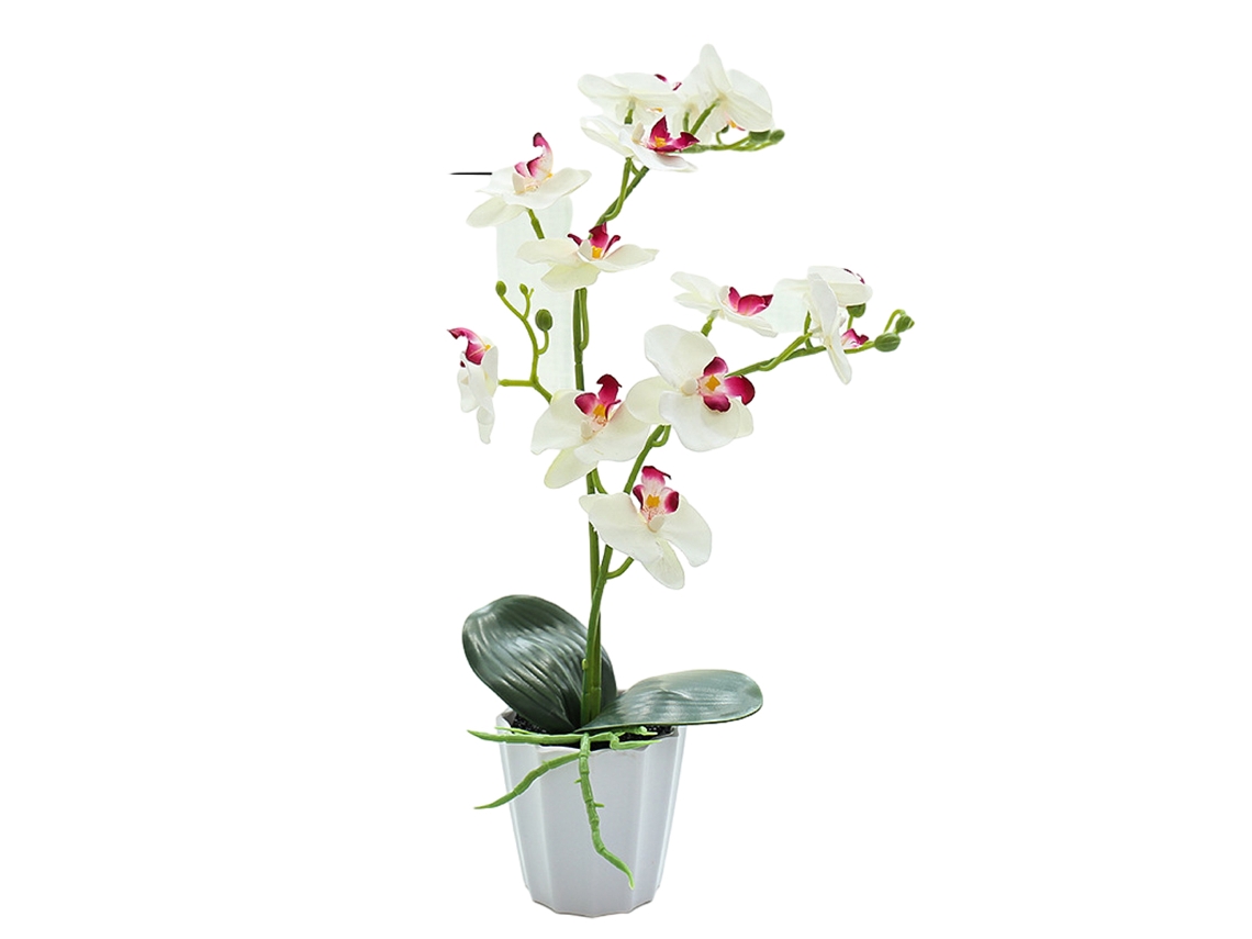 Planta Artificial Falsa Orquídea Phalaenopsis Bonsai Mini Decoração Verde Para Escritório