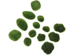 Pedras Artificiais Inoomp, Leves e em Kit de 13 Peças com Revestimento Flocado Verde, Ideais para Decoração de Jardins CHABERLU