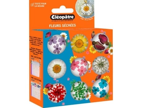 Flores Secas Cleópatra Conjunto De 9 Potes 21 Peças Material Natural Decorativo Cleopatre