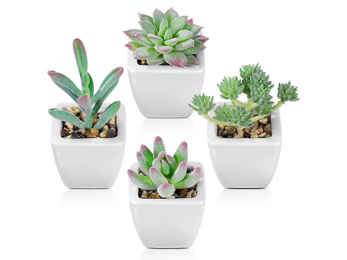4 Unidades de Plantas Suculentas Artificiais ALLINLESS