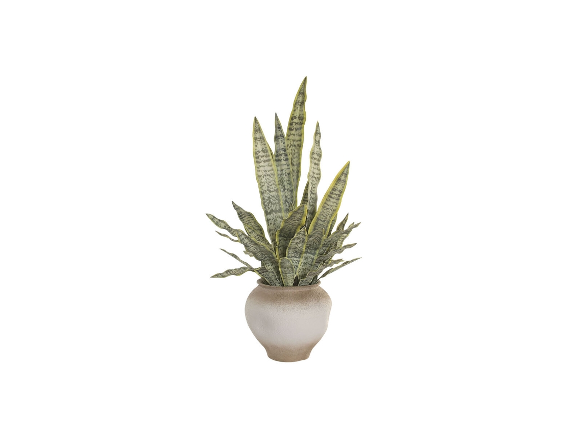 Planta Decorativa Home Esprit Polietileno
