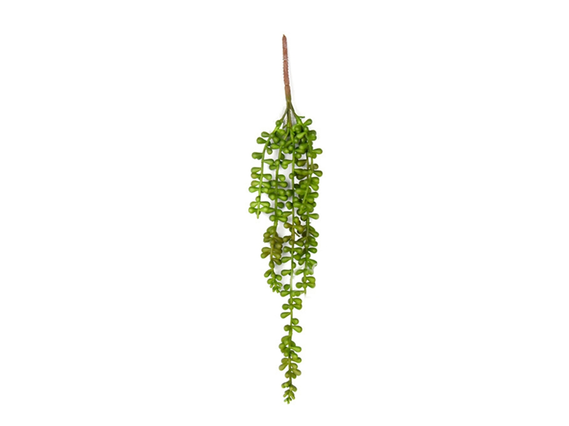 Flor de Papoula com Quatro Cabeças LAXISCREED