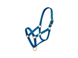 Camada Dupla Cabeçada Nylon Azul Cobmehis
