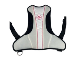 Aqualung Rogue Back Assembly