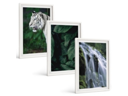 Conjunto De Pinturas Folhas De Tigre Branco Em Cachoeira Moldura Branca Fotos Para O Escritório Espelharte (3 Piezas De 40x60 Cm)