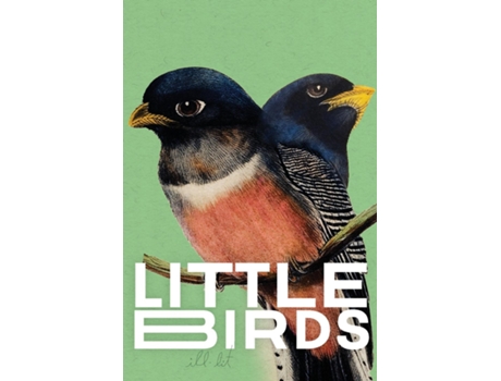 Livro Little Birds de Shy Watson (Inglês)