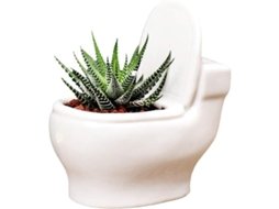 Vasinho De Cerâmica Mini Para Succulentas Design Criaativo Banheiro Para Casa Escritório