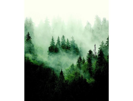 Papel De Parede Floresta Árvore E Br Ag Art