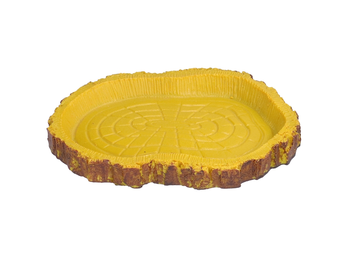Bacia De Alimento Para Répteis Imitando Casca Para Aquário E Tartaruga Marinha