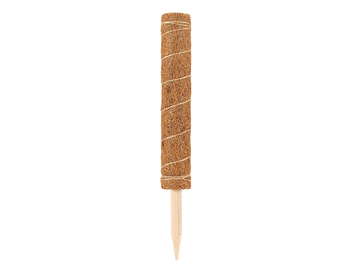 Poste totém de Musgo de Coco para Suporte de Plantas Trepadeiras Material Durável 50cm