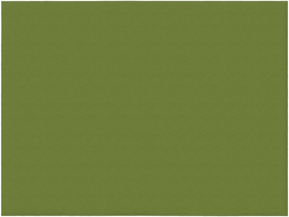 Manta de Flanela Ultramacia Phayah com Estampa Verde escura Sólida Ideal para Sofá Cama Sala Estar Escritório