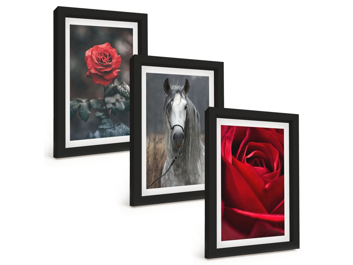 Composição De Quadros Na Parede Rosas Vermelhas, Cavalo, Mundo Cinza Moldura Preta Quadros Para A Sala De Estar Espelharte (3 Peças 20x30 Cm)