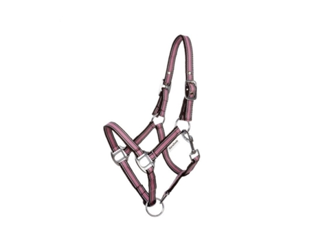 Cabresto de cavalo em dois tamanhos diferentes Kavalkade Shorty