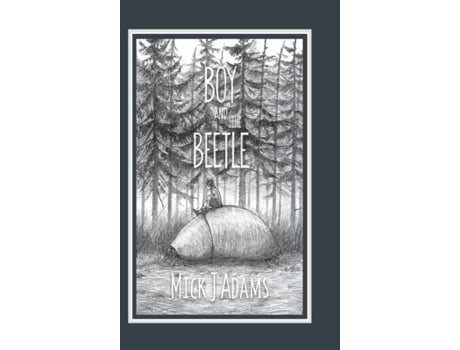 Livro Boy And The Beetle De Adams, Mick Et Al. (inglês)