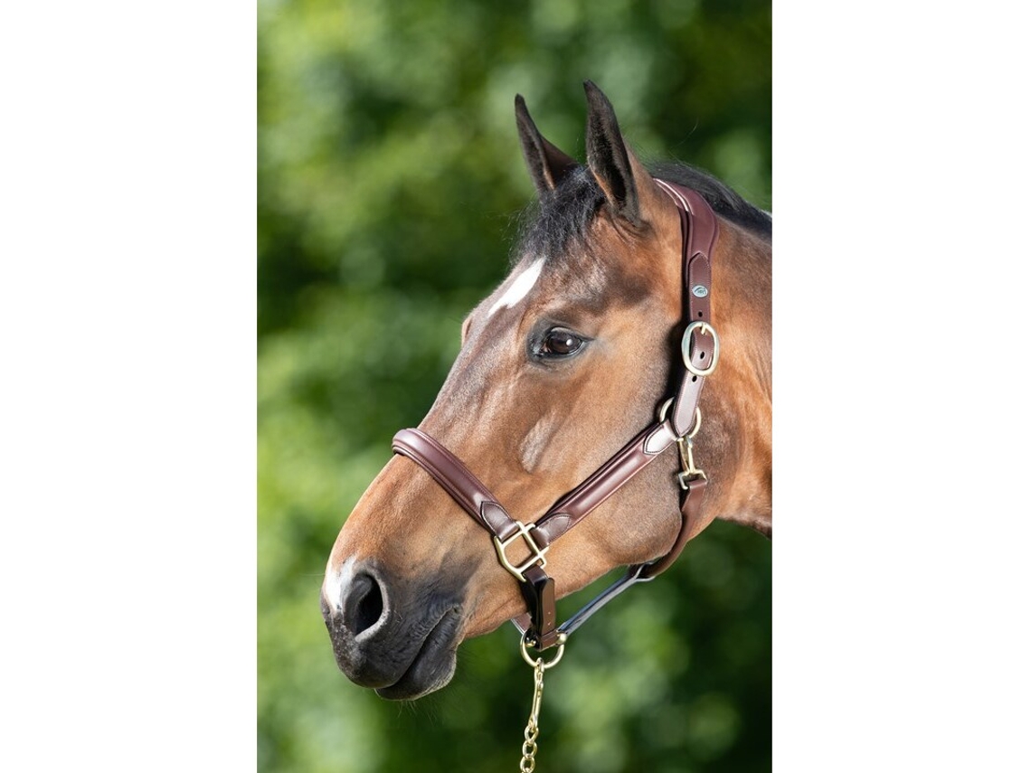 Cabresto de couro para cavalos HFI Wave