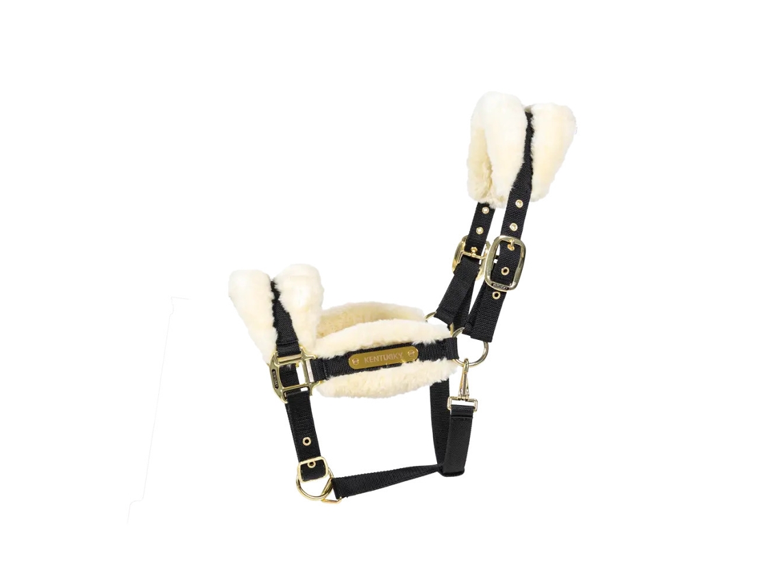 Cabresto para Ovelhas KENTUCKY