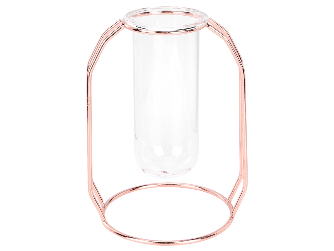 Vaso de Vidro Transparente para Plantas Hidropônicas | S/MARCA