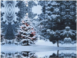 Colcha de Flanela com Estampa Árvore Natal e Neve Macia Aconchegante para Sofá Quarto 101 6 X 76 2 Cm, Macio