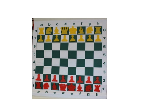 Tabuleiro Mural Magnético EUROCHESS